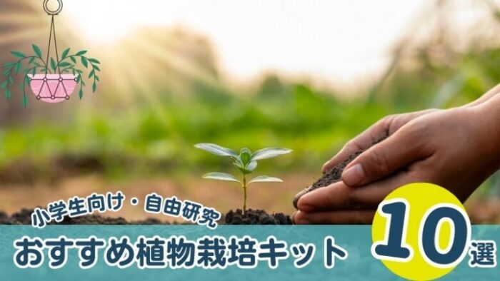 【小学生の理科】自由研究におすすめの植物栽培キット10選！