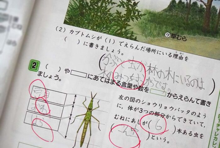 理科は生き物や植物に関する単元。