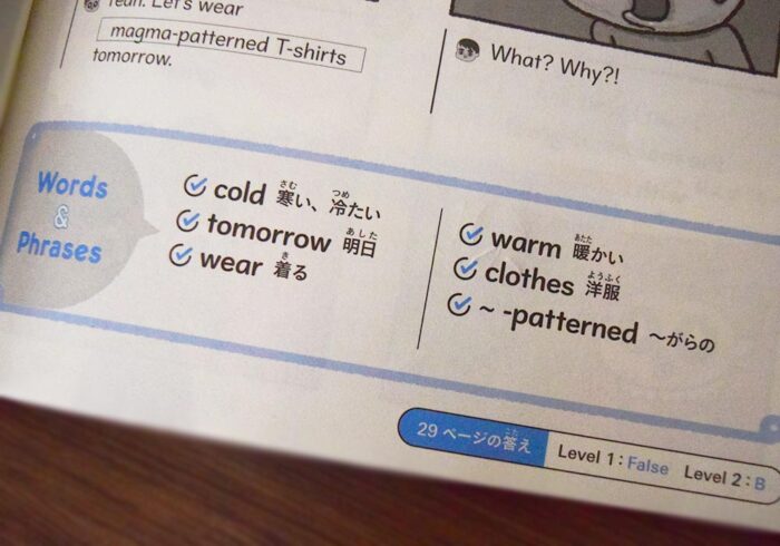 Words＆Phrasesで知らないor書けない英単語があれば練習させる
