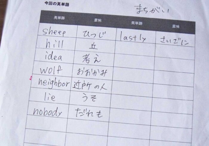 こんな感じで新規の英単語リストを作って練習させる