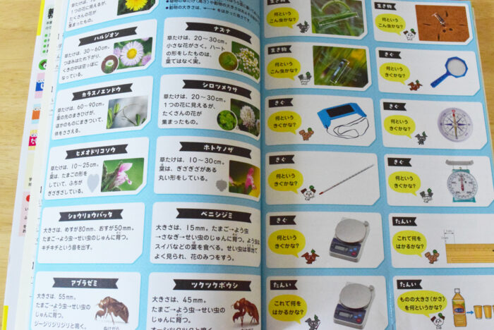 ぴったりトレーニング理科付録