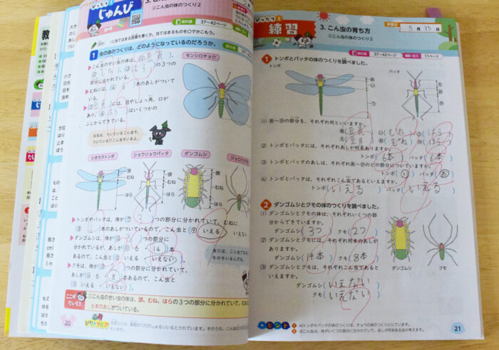 教科書ぴったりとレーニング書き込みページ