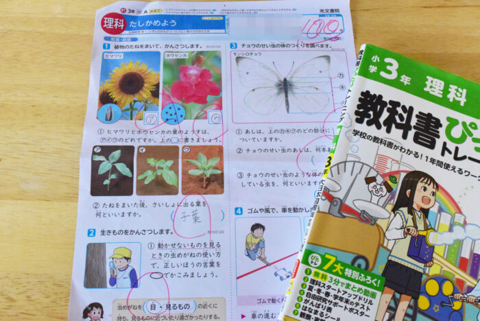 理科100点のカラーテスト