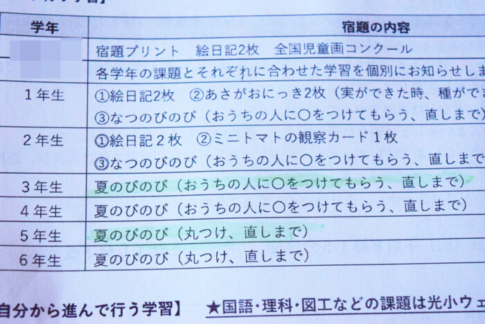 夏休みの宿題