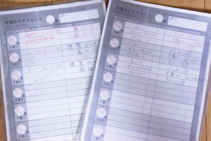 小学生の学習スケジュール